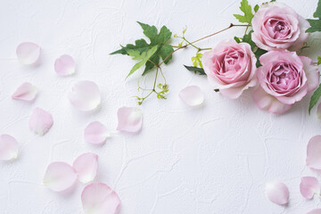 和風素材お正月や和風結婚式の背景background Wall Mural Backgrou Shironagasukujira