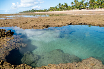 Idyllic beach with crystal clear water in Taipus de Fora, Marau, State of Bahia, Brazil