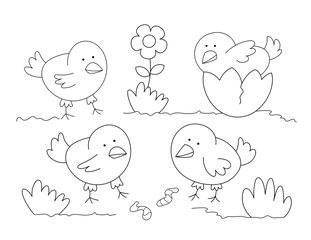 coloring page for kids with outline drawing of four cute chicks in a garden, black and white illustration of farm animals. you can print it on a standard 8.5x11 inch page