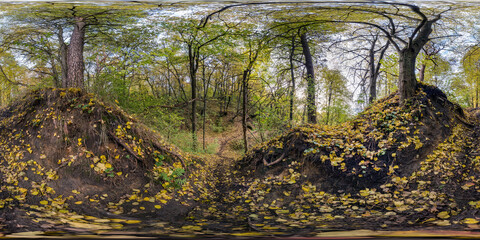 full seamless spherical hdri 360 panorama in tree-covered ravine in autumn forest equirectangular spherical projection with pedestrian footpath in forest. ready VR AR virtual reality content