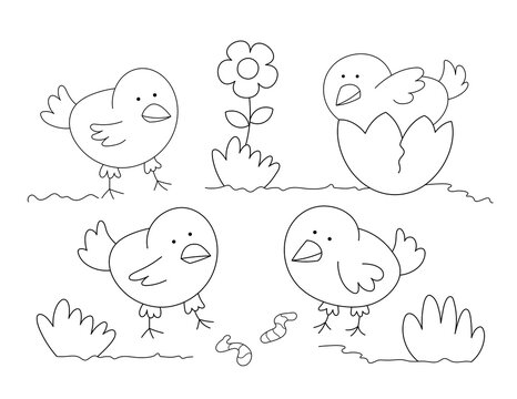 coloring page for kids with outline drawing of four cute chicks in a garden, black and white illustration of farm animals. you can print it on a standard 8.5x11 inch page