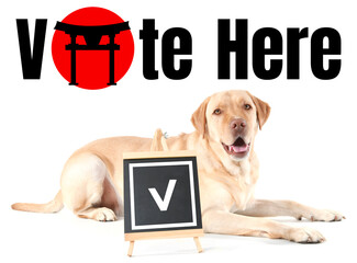 Adorable dog with chalkboard and text VOTE HERE on white background