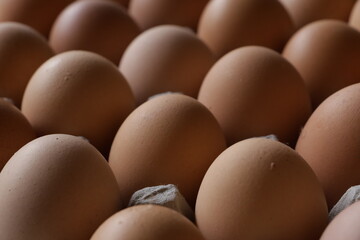 selective focused : rows of chicken eggs that form a beautiful pattern