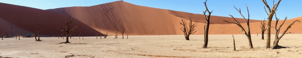 Panoramic Deadveli with Dead Trees in Front of Mountainous Dunes