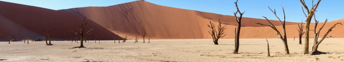 Panoramic Deadveli with Dead Trees in Front of Mountainous Dunes