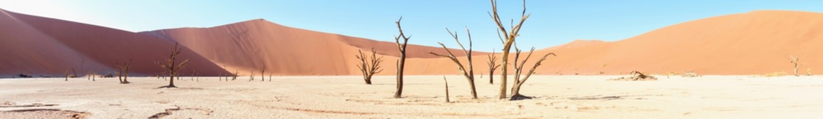 Panoramic Deadveli with Dead Trees in Front of Mountainous Dunes