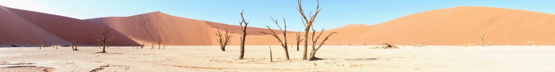 Panoramic Deadveli with Dead Trees in Front of Mountainous Dunes