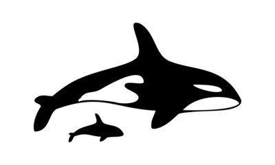 Fototapeta premium orca whale and baby orca vector