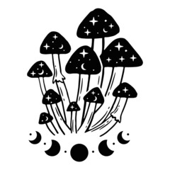 Black and white illustrations with magic mushrooms and moon phases.