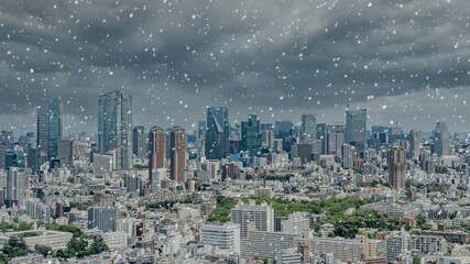 東京　雪