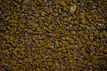 yellow stone paved road