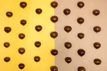 Fresh raw chestnuts on yellow and beige background. Chestnut pattern.  Autumn concept.