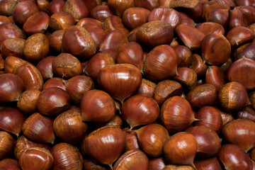 A pile of fresh raw chestnuts. Chestnut background. Autumn concept.