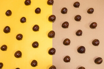 Fresh raw chestnuts on yellow and beige background. Chestnut pattern. Autumn concept.