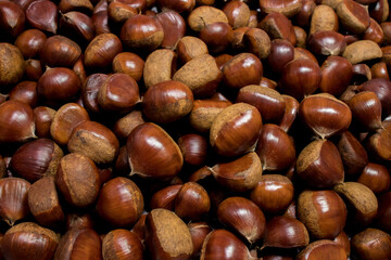 A pile of fresh raw chestnuts. Chestnut background. Autumn concept.