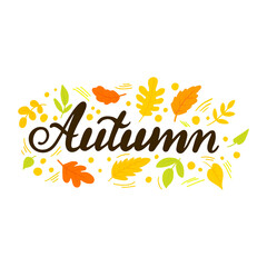 Fototapeta na wymiar Autumn lettering with fall leaves. Hand drawn vector illustration.