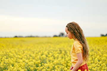 Naklejka na ściany i meble Pretty long haired girl playing in vibrant canola field in full bloom