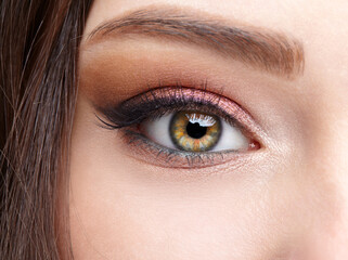 Closeup macro shot of  human female eye with  pink  eyes shadows