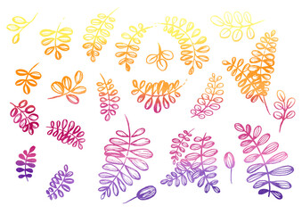 Fototapeta na wymiar Watercolor artistic multicolor Set of floral elements in the style of line art wedding theme on a white background. Doodle and scribble. Orange, violet, yellow and purple leafs for postcard and