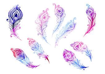 Watercolor multicolor Set of birds feather elements in the style of line art wedding theme on a white background. Doodle and scribble. Red, violet, purple colorful peacock wings feathers texture