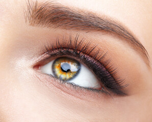 Obraz premium Closeup macro shot of human female eye with pink eyes shadows