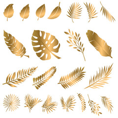 Set of golden vector floral design elements. Decoration elements for invitation, wedding cards, valentines day, greeting cards. Isolated.