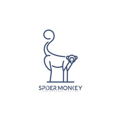 Spider monkey logo line vector illustration design. Creative design