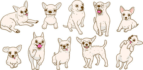 Fototapeta premium Cartoon chihuahua dog illustration set