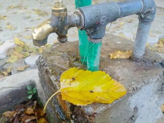 A wet yellow leaf placed beneath a water tap