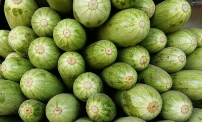 Selective focus Close up shot of fresh raw green bottle gourds lying over one another in a basket...