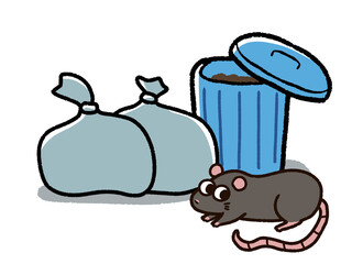 ゴミ捨て場にいるドブネズミ