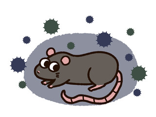 ドブネズミとばい菌