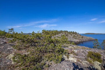 Fototapeta na wymiar Northern nature. Karelian skerries. lake Ladoga. Channel of lake Ladoga with stony banks.
