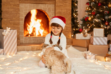 Indoor shot of happy little girl wearing white sweater and santa claus hat, playing with her cute Pekingese dog, sitting on floor near Christmas tree, present boxes and fireplace.