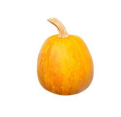 Round pumpkin of yellow-orange color with a small stem, isolated on white