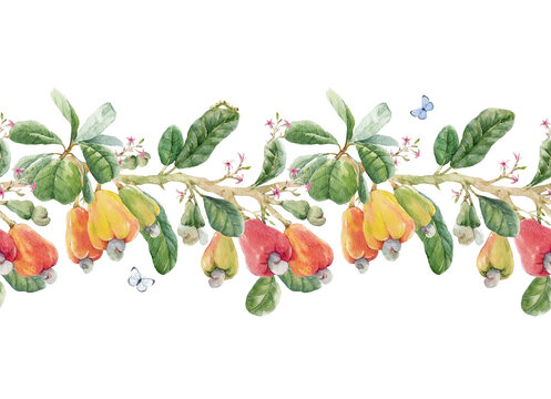 Beautiful horizontal seamless pattern with watercolor hand drawn branches with colorful cashew nuts small flowers and green leaves. Stock illustration.