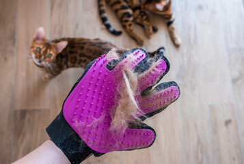 Glove for combing wool. Glove with silicone lining with cat fur. Taking care of pets