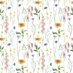 Beautiful vector seamless floral pattern with hand drawn watercolor gentle wild field flowers cornflower. Stock illuistration.