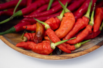 Selective focus of Cabe or cabai merah keriting or red curly chili