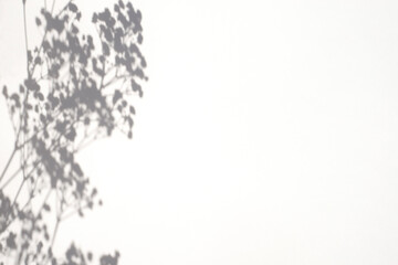 Trending concept in natural materials with plant shadow on white background. Presentation with daylight. Natural blurred shade. Summer sunlight from herb. Abstract beautiful backdrop for text or