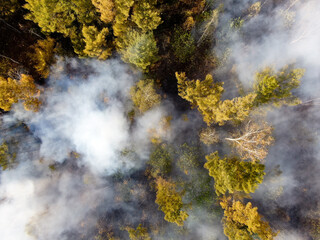 forest fire from a height, the fire spreads through the autumn forest, flat lay aerial view
