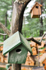 The houses of many colors of small birds