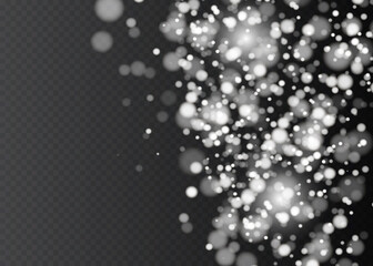 Bokeh background. Snowflakes isolated. Vector illustration.