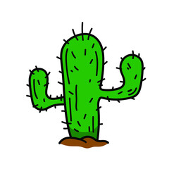 Cactus doodle, vector illustration of a cactus succulent plant, isolated on a white background.