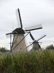 Two dutch windmills from 1740 with reed in front at Kinderdijk.  UNESCO world heritage site.
