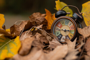 clock and autumn leaves
