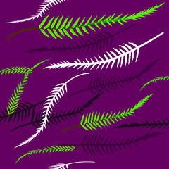Green fern leaf, white, abstract vector symbol template. symbol or logo elegant design or card on a colored background. Concept of nature and design.
