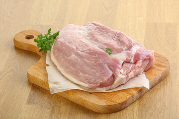 Piece of the raw pork meat