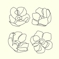 Magnolia flower one line drawing set