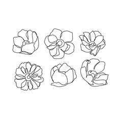 Magnolia flower one line drawing set